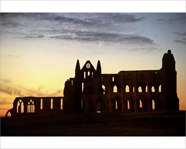 Whitby Abbey silhouette N080815
