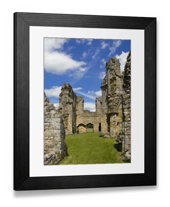 Framed Print : Bayham Old Abbey N090072