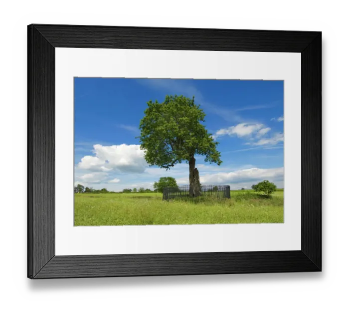 Framed Print : The Royal Oak near Boscobel House N090078