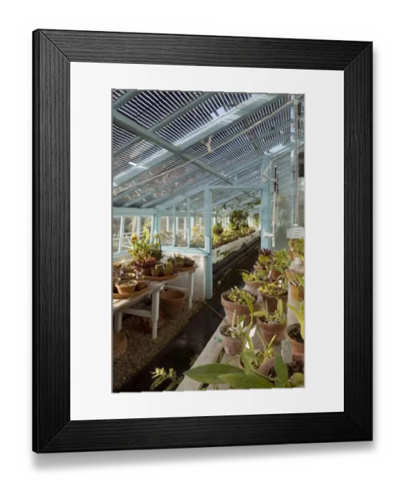 Framed Print : The greenhouse at Down House N080876