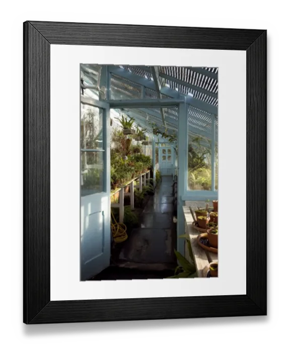 Framed Print : The greenhouse at Down House N080877