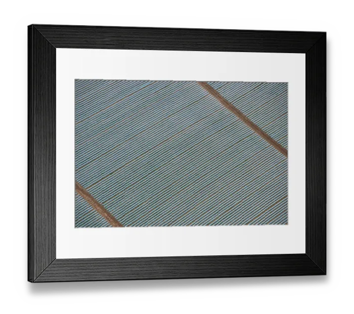 Framed Print : Polytunnels 24597_045 Framed Print : Polytunnels 24597_045