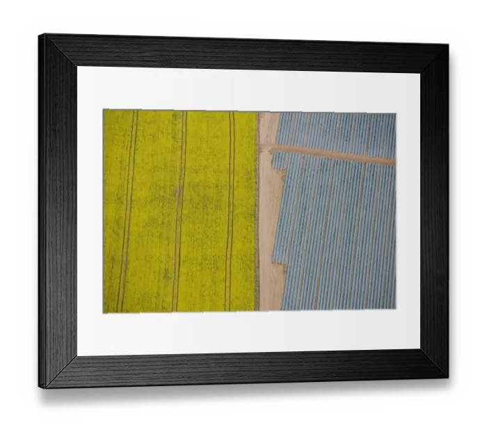 Framed Print : Agriculture in yellow and blue 24597_049