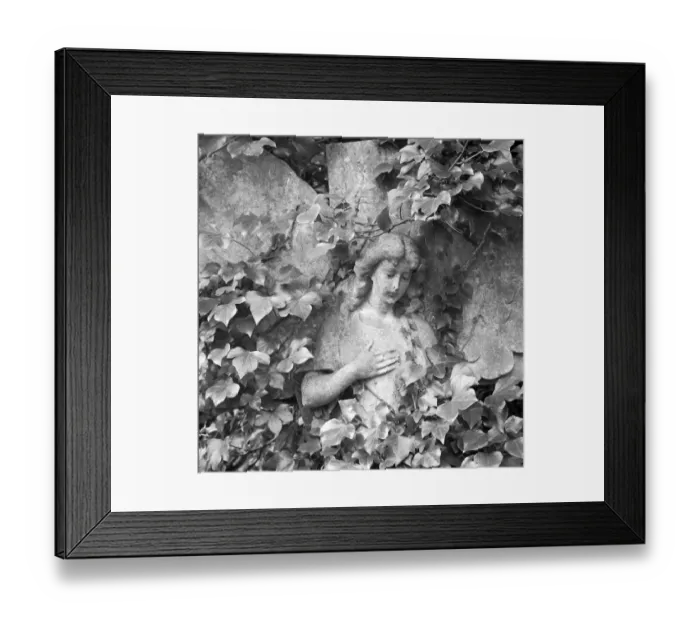 Framed Print : Highgate Cemetery a074545