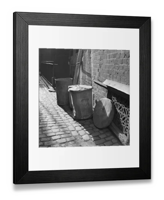 Framed Print : Dustbins a093697