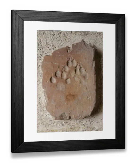 Framed Print : Roman tile with dog paw imprint K030449