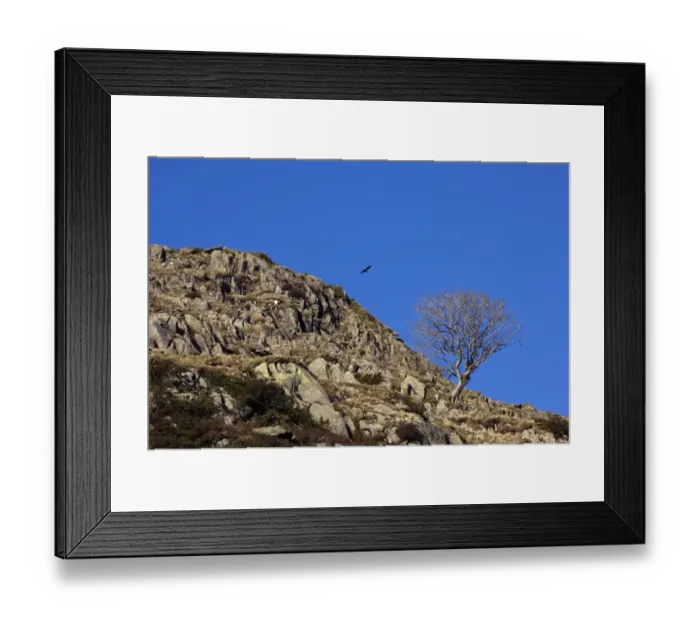 Framed Print : Cumbrian landscape N080905