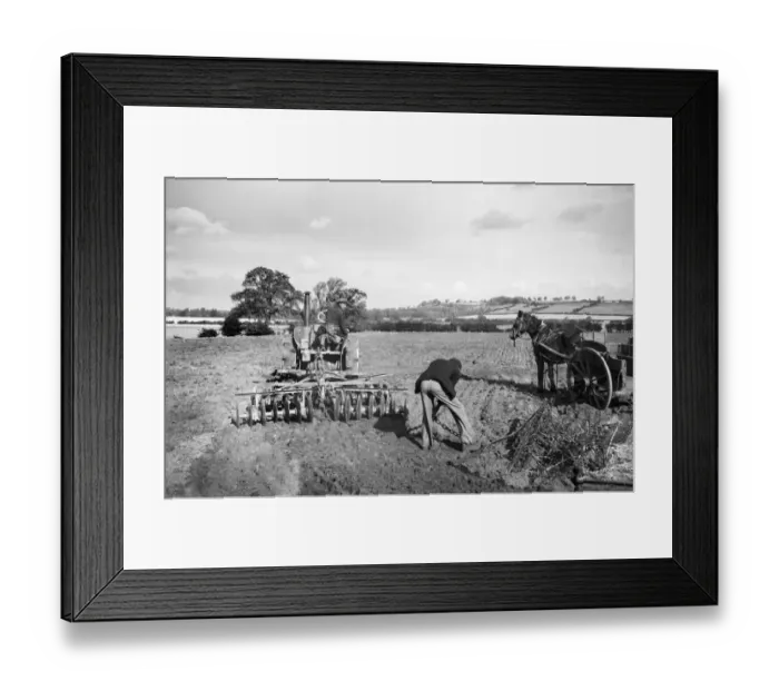 Framed Print : Disc harrowing, Lincolnshire a98_09683