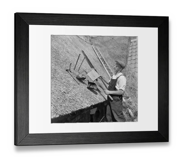 Framed Print : Thatcher, Norfolk a98_10847 Framed Print : Thatcher, Norfolk a98_10847