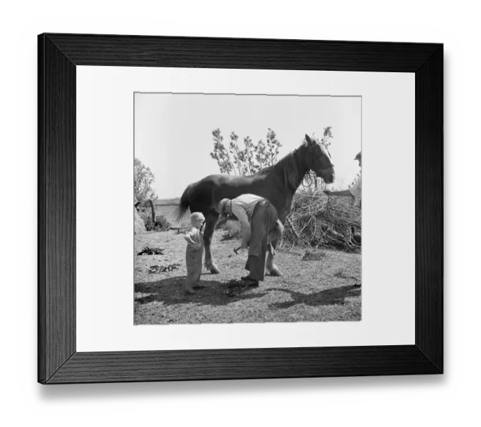 Framed Print : Farrier, Cambridgeshire a98_10862 Framed Print : Farrier, Cambridgeshire a98_10862