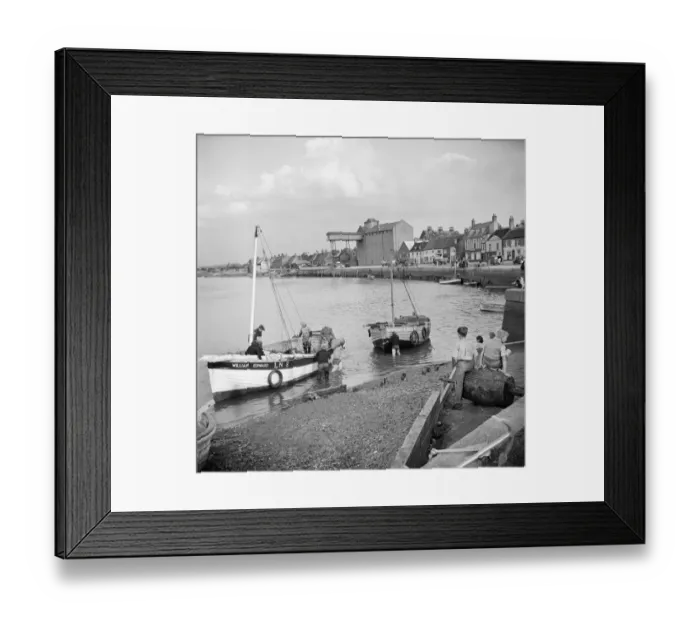 Framed Print : Whelk boats, Norfolk a98_14631