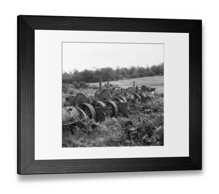 Framed Print : Steam engines, Norfolk a98_07546