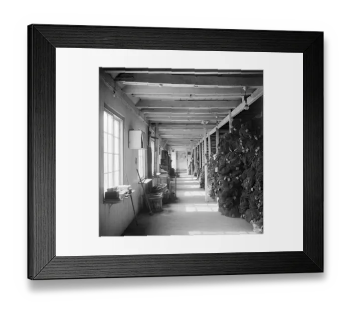 Framed Print : Netting sheds, Lowestoft a98_12838