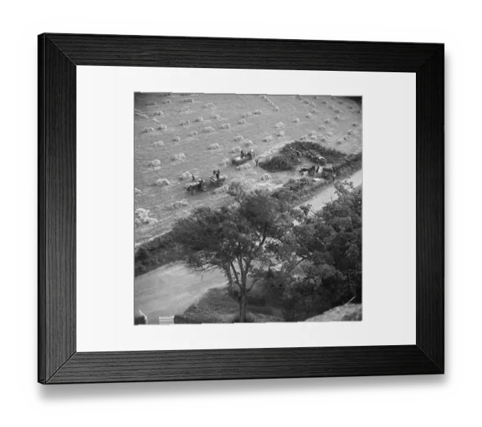 Framed Print : Harvest, Norfolk a98_14729
