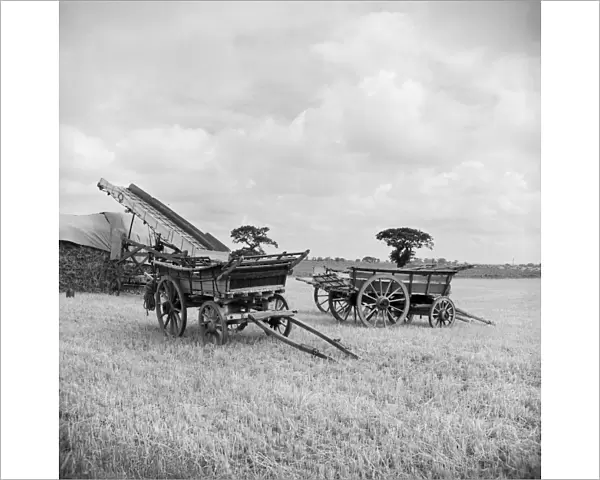 Farm wagons, Norfolk a98_15161