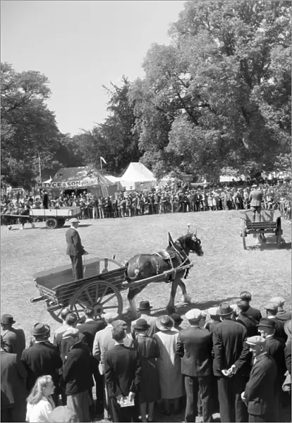 Royal Norfolk Show 1947 a98_11521