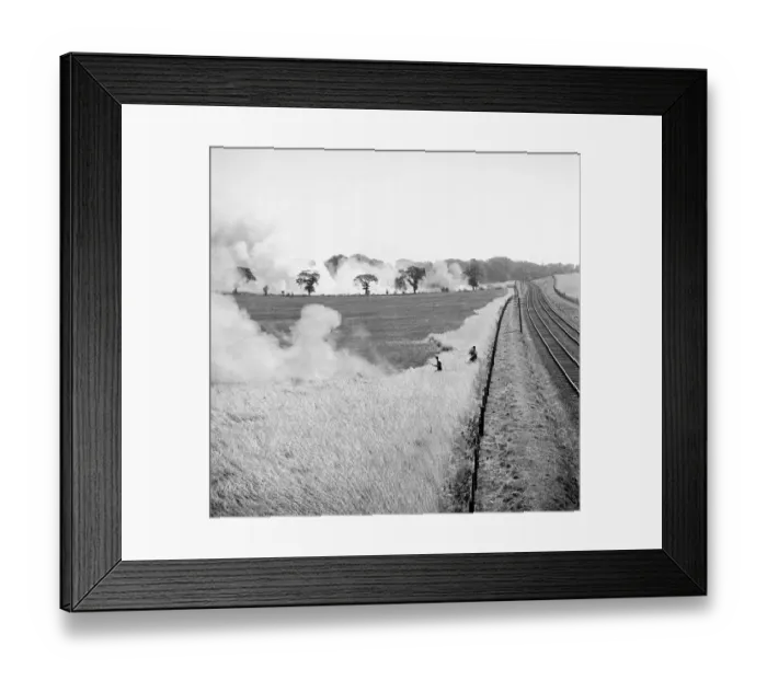 Framed Print : Fields on fire, Norfolk a98_11587