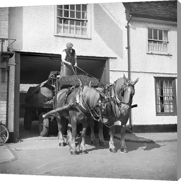 Brewers dray, Ipswich a98_12167