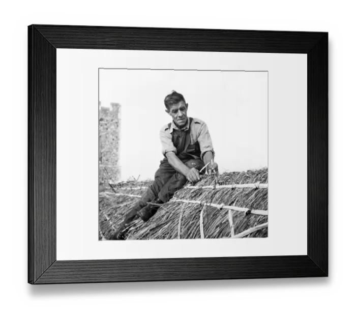 Framed Print : Thatcher, Lowestoft, Suffolk a98_07600 Framed Print : Thatcher, Lowestoft, Suffolk a98_07600