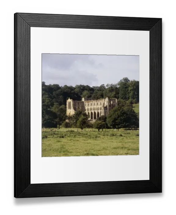 Framed Print : Rievaulx Abbey K050264