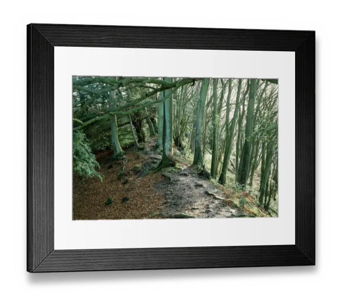 Framed Print : Offas Dyke, Gloucestershire K920276