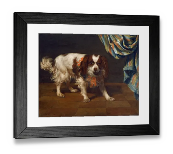 Framed Print : Van der Kuyl - A King Charles Spaniel J960070