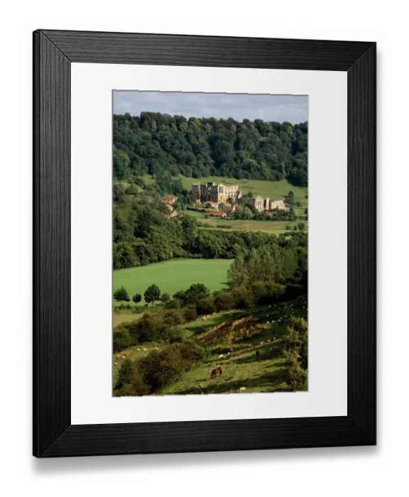 Framed Print : Rievaulx Abbey N050068 Framed Print : Rievaulx Abbey N050068