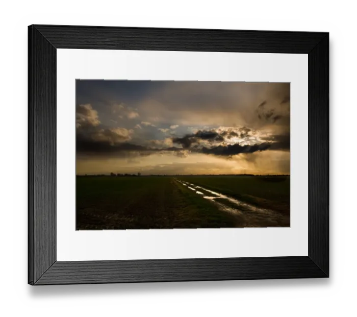 Framed Print : Field at sunset N090179