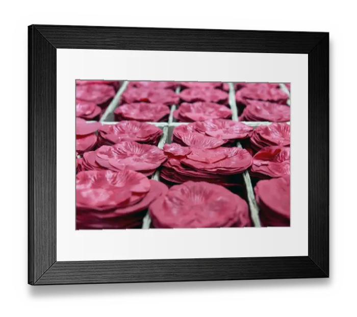 Framed Print : The Poppy Factory DP176046