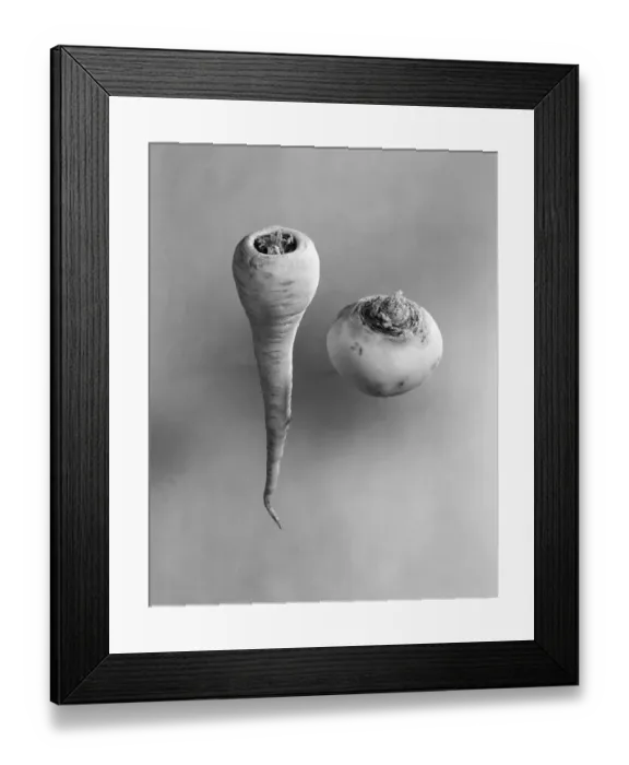 Framed Print : Parsnip and Turnip a100836