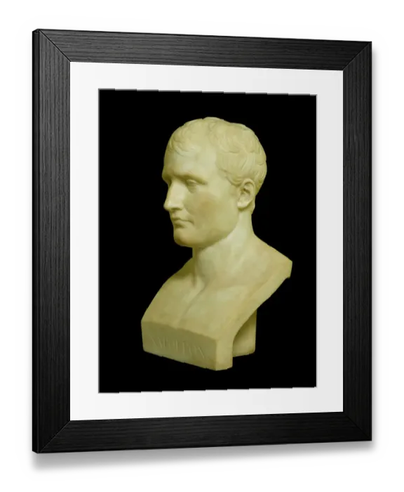 Framed Print : Canova - Bust of Napoleon N080945 Framed Print : Canova - Bust of Napoleon N080945
