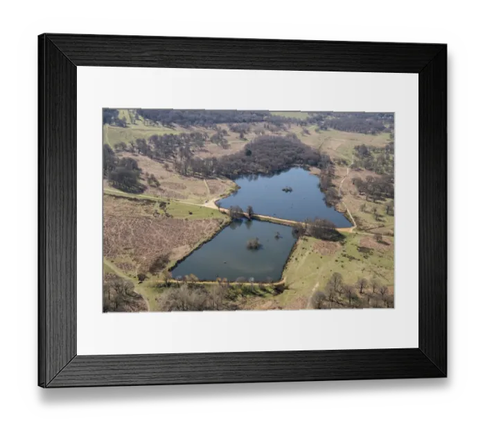 Framed Print : Richmond Park 33462_021