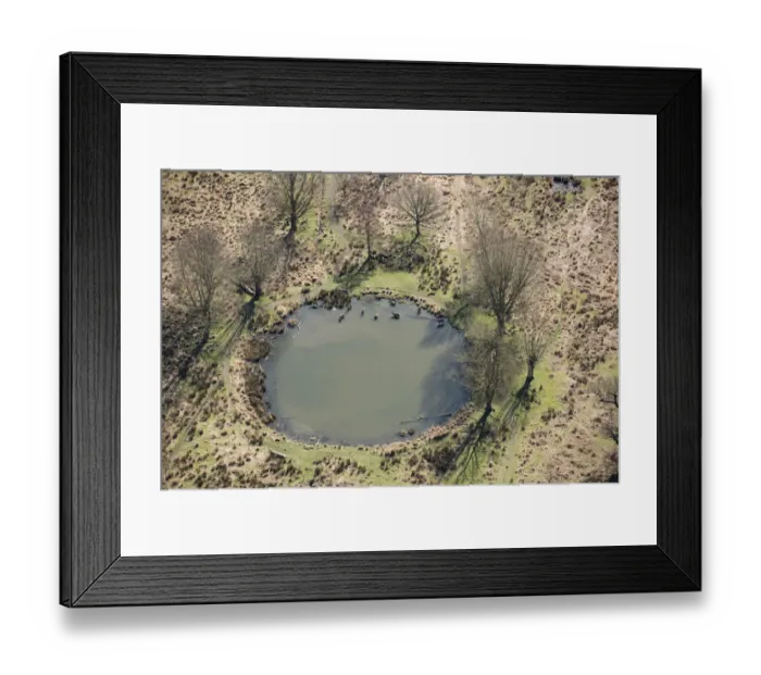 Framed Print : Richmond Park 33462_066