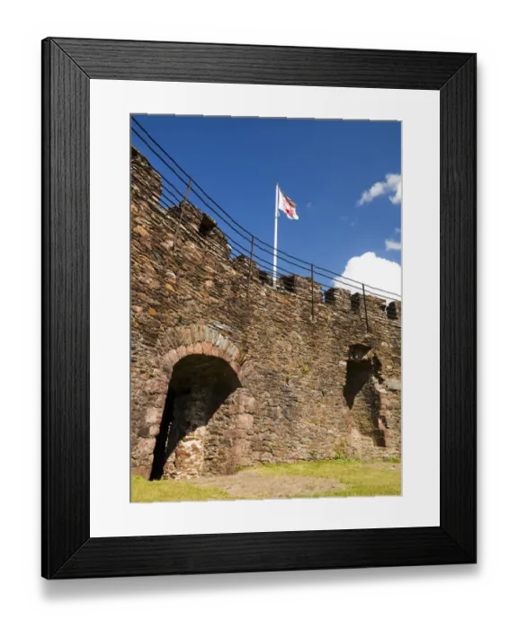 Framed Print : Totnes Castle, Devon N060708