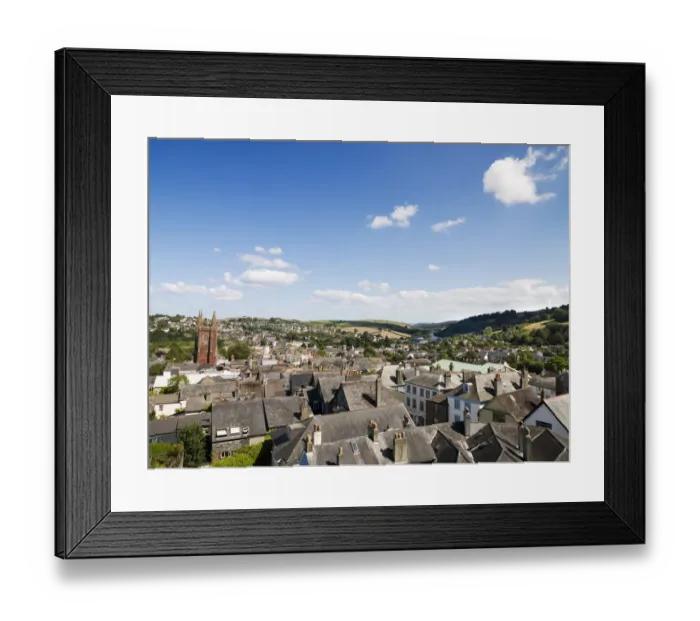 Framed Print : Rooftops of Totnes, Devon N060710