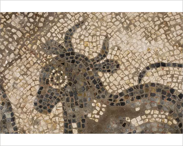 Mosaic, Great Witcombe Roman Villa DP220987