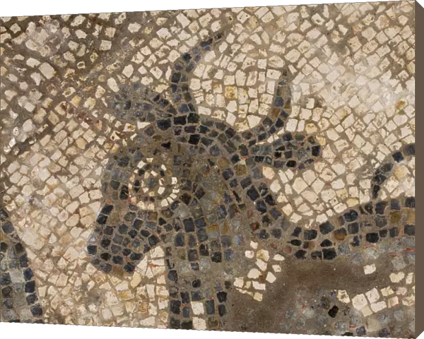 Mosaic, Great Witcombe Roman Villa DP220987