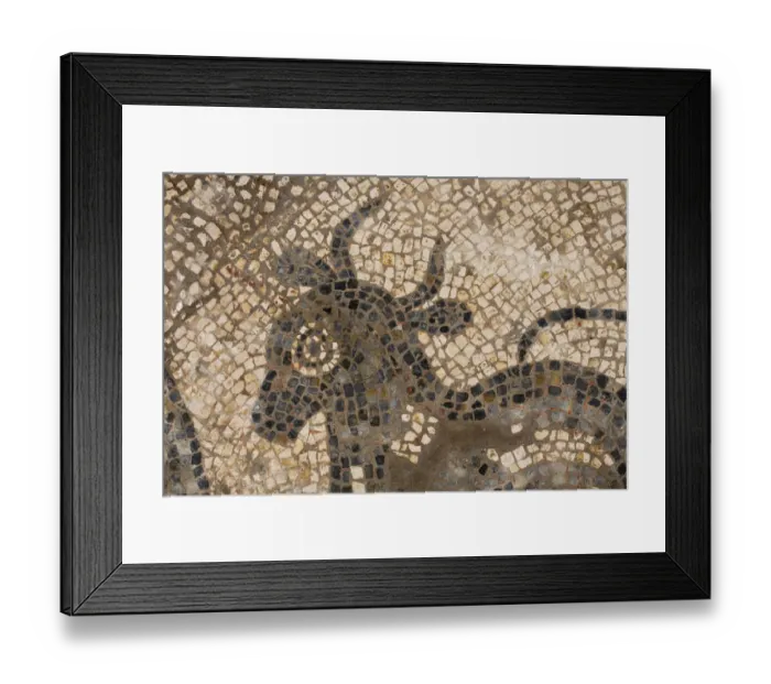 Framed Print : Mosaic, Great Witcombe Roman Villa DP220987