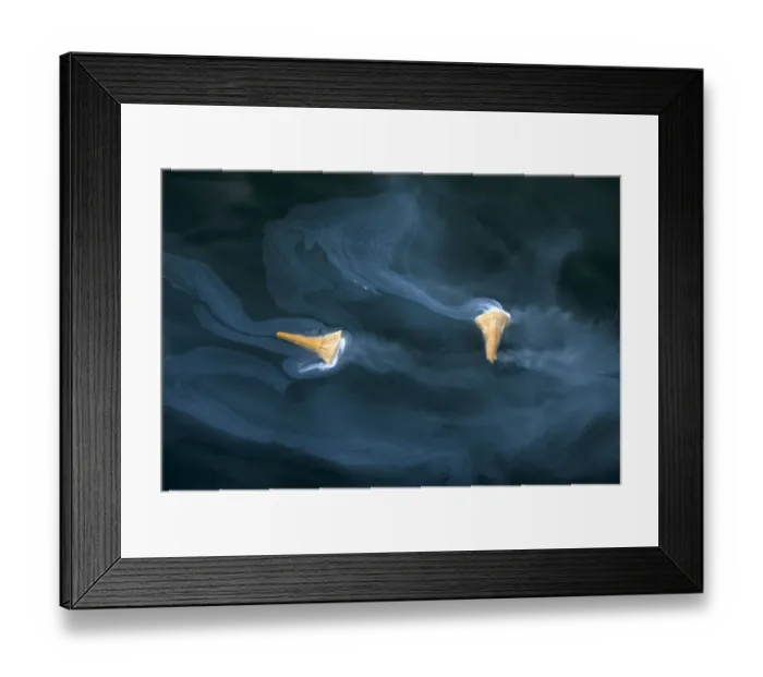 Framed Print : Ice cream cones DP044354