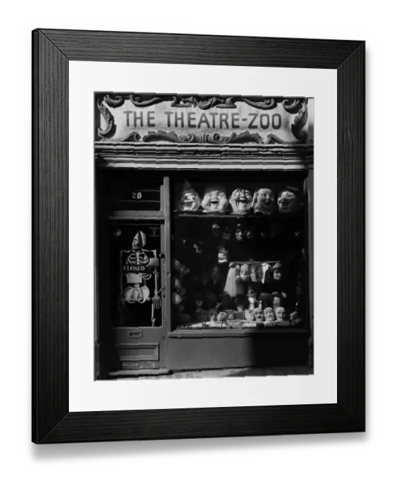 Framed Print : The Theatre-Zoo shop window DD003928