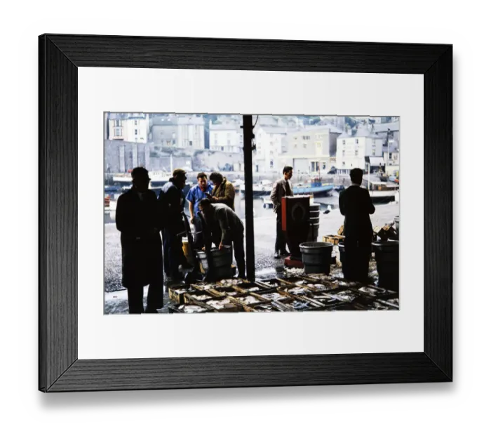 Framed Print : Brixham Fish Market BAR03_01_365 Framed Print : Brixham Fish Market BAR03_01_365