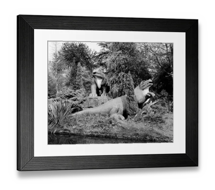 Framed Print : Crystal Palace Dinosaurs DD004597