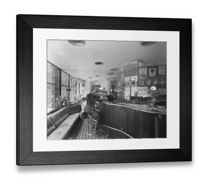 Framed Print : Alligator in a bar, Zanzibar, 30 Great Queen Street DD001716