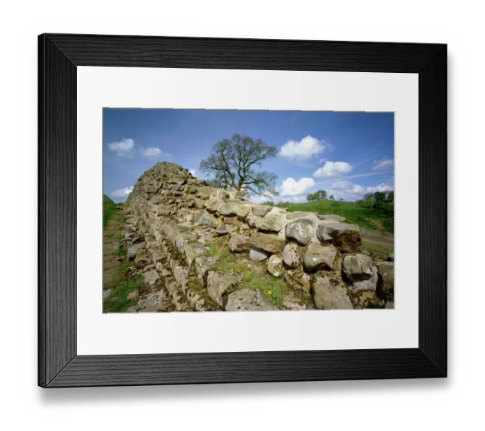 Framed Print : Willowford Wall K060466