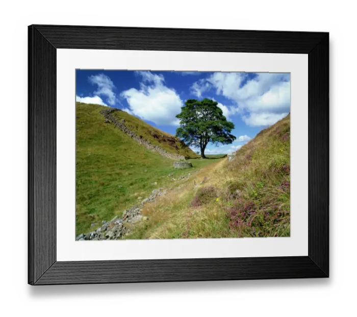 Framed Print : Hadrians Wall: Sycamore Gap K060462