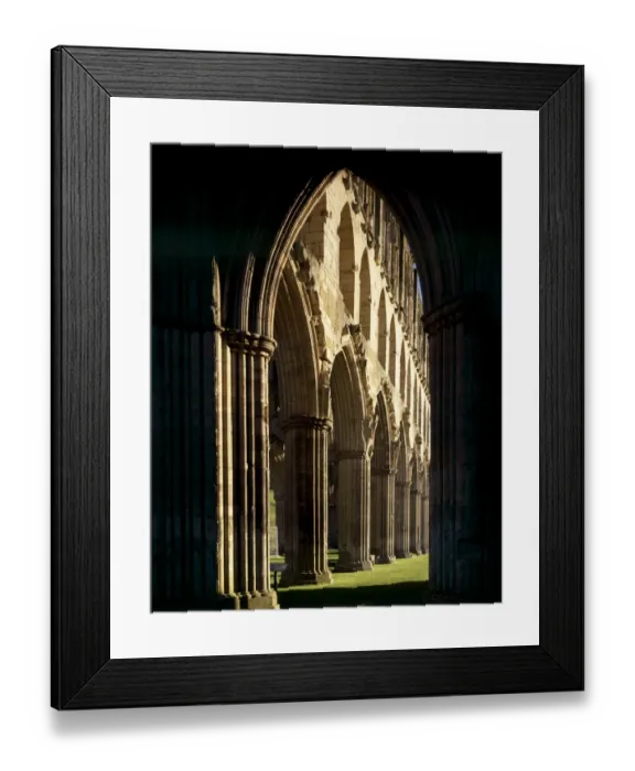 Framed Print : Rievaulx Abbey J060078