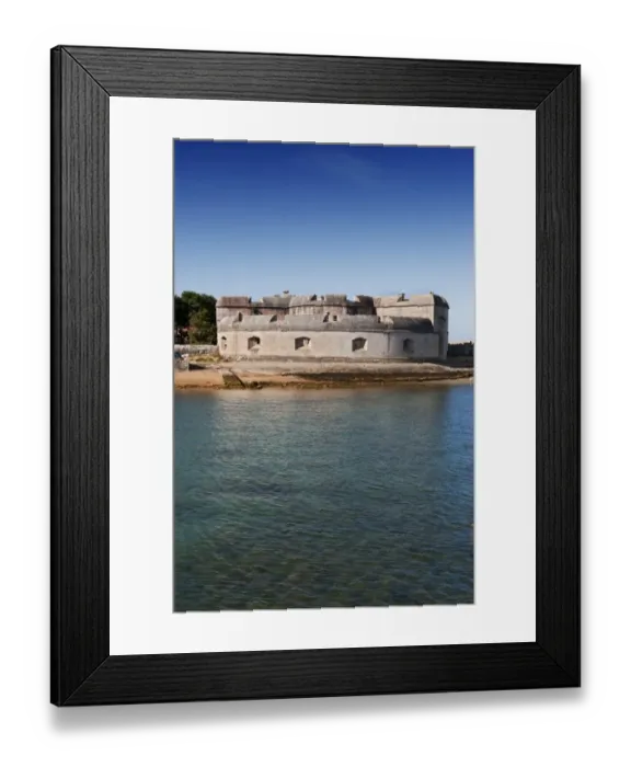 Framed Print : Portland Castle N090403