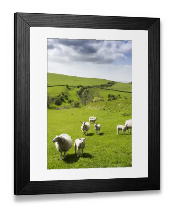 Framed Print : Offas Dyke, Herefordshire N090410