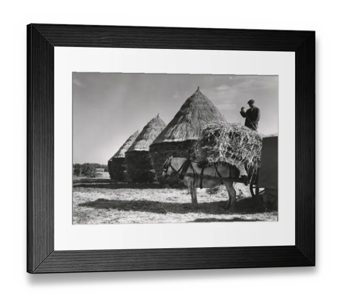 Framed Print : Hayricks DIX02_01_010 Framed Print : Hayricks DIX02_01_010