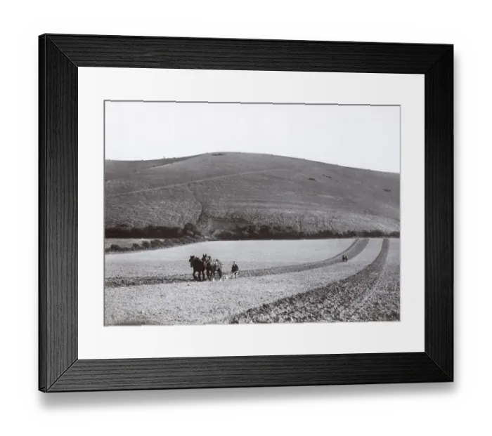 Framed Print : Ploughing DIX02_01_081